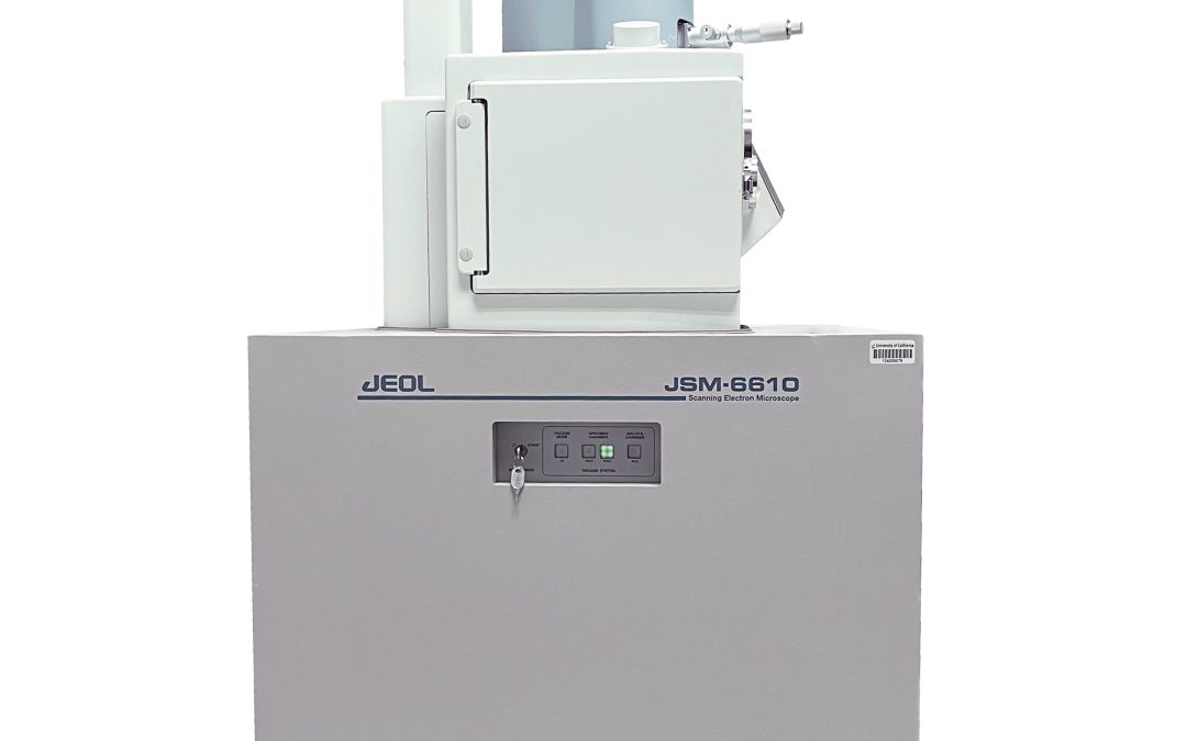 JEOL JSM 6610 SEM