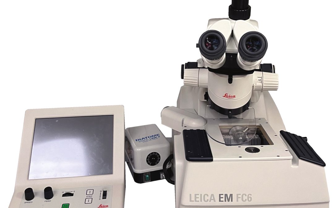 UC6 cryo-Ultramicrotome (Leica)